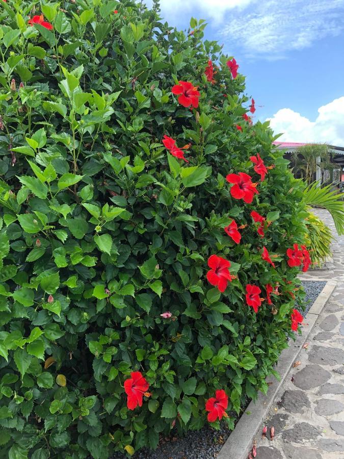 Lovely Apartment In Flic En Flac, Close To The Beach And All Amenities. Bagian luar foto